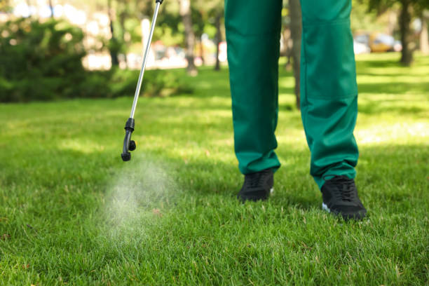 Best Mosquito Control Services  in Coats, NC