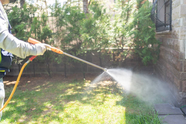 Best Affordable Pest Control Services  in Coats, NC